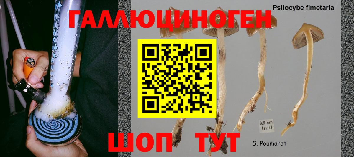 дарнет шоп  Галлюциногенные грибы Magic Shrooms  Вход с VPN  Конаково 